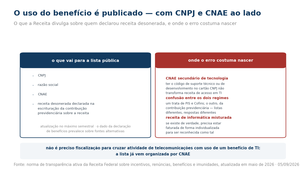 Quadro com os campos divulgados na lista pública de beneficiários da desoneração e os três erros comuns de enquadramento do provedor.